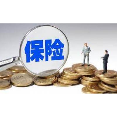 德国直邮保险物...
